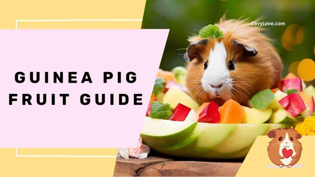 Image showcasing Guinea Pig Fruit Guide - Cavy Love